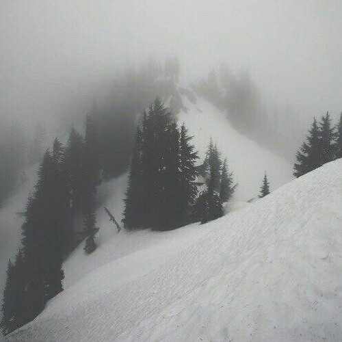 Arcturus Playa - familiar (demo)