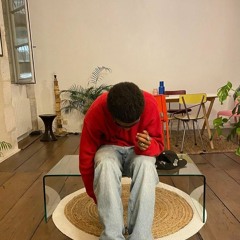 BBDOOKY - BIRDS ANTHEM