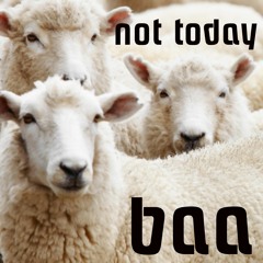 Baa - Not Today