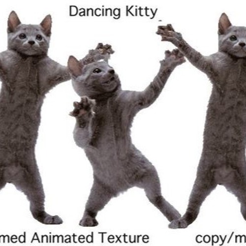 Танцующий кот