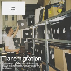 Nice Music 002 - Transmigration | David Fogarty