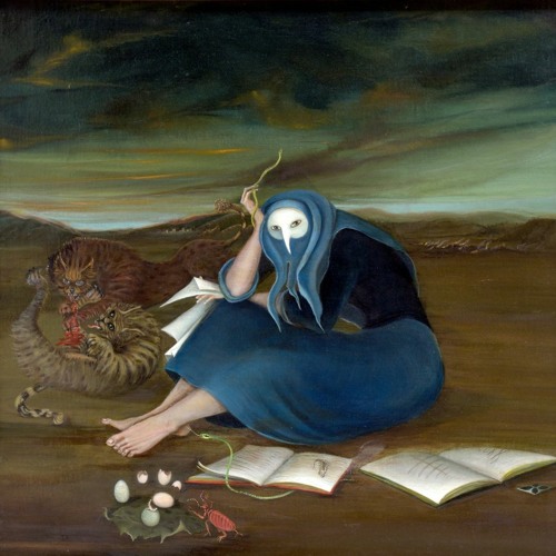 ML679: Bogdan Dražić