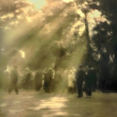 p e r i p h e r y ❇️