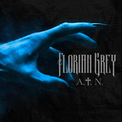 A.†.N. (Single Edit)