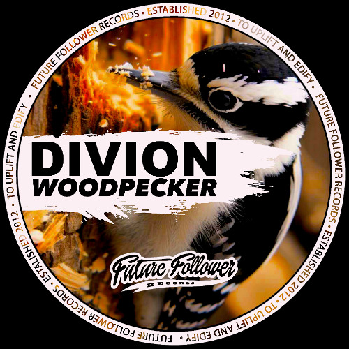 Divion - Woodpecker