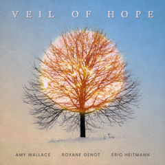 Veil of Hope