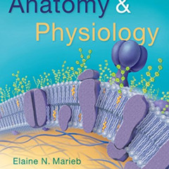 Get KINDLE 🗂️ Anatomy & Physiology (6th Edition) by  Elaine N. Marieb &  Katja N. Ho