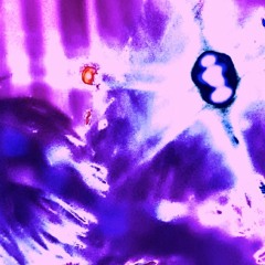 mix:6t.8::09/2023(11.8)