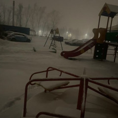 грациозная фигура