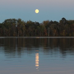 There Are Reasonable Expectations For The Night