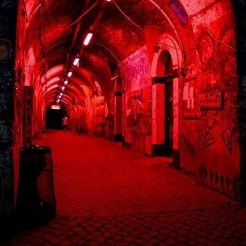 prophet - vibe rations |mohno bootleg|