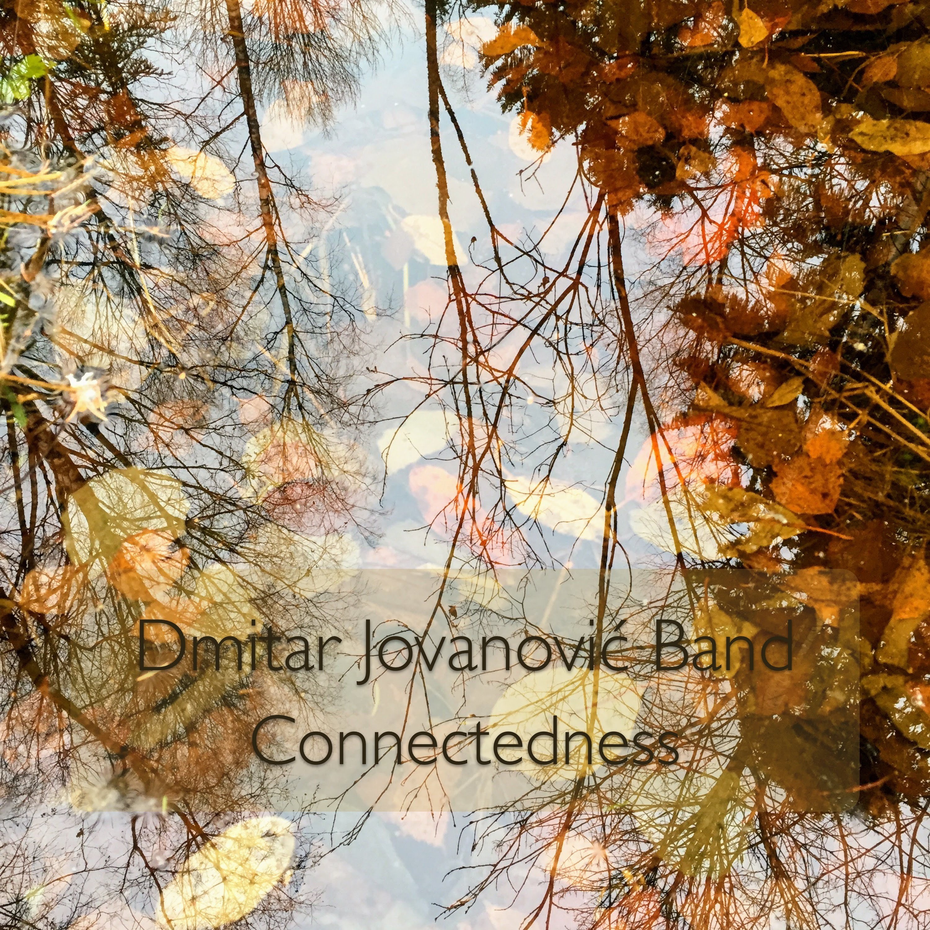 Connectedness episode artwork