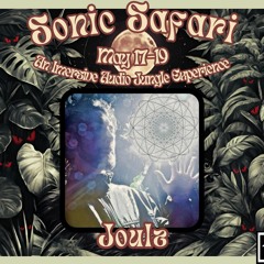Joulz - On the Road to Sonic Safari Mix Series