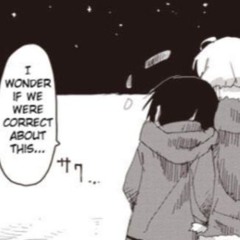 Beta Orbiter (XO Willow Cover) (old version)