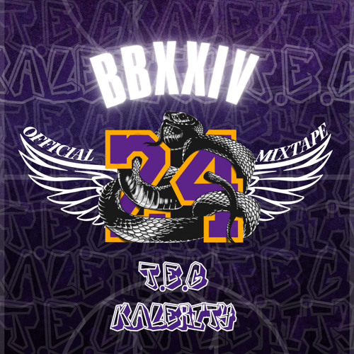 OFFICIAL BRUIN BHANGRA 2024 MIXTAPE [Ft. Kalerity]