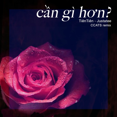 CAN GI HON? - JUSTATEE x TIEN TIEN(CCATS Remix)