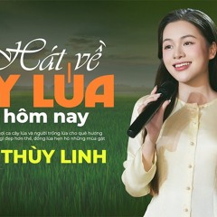 Hát Về Cây Lúa Hôm Nay Ver 2 - Duy Dong Mix Full