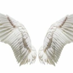 Wings (Snippet)