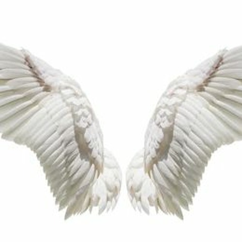 Wings (Snippet)