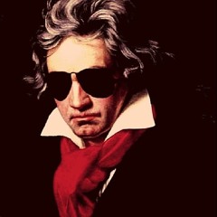 Fur Elise (avrws flip)