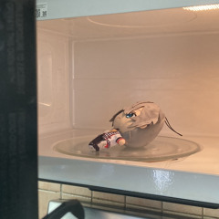 𝙎𝙬𝙚𝙚𝙩 𝙇𝙞𝙩𝙩𝙡𝙚 𝘽𝙪𝙢𝙗𝙡𝙚𝙗𝙚𝙚 ☆