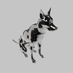 Puppy
