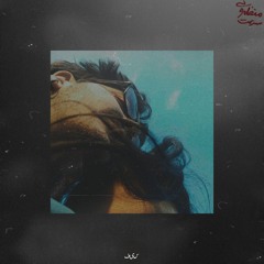 ۳- منظره‌ی سرعت [ساخته‌ی میم‌کاف]