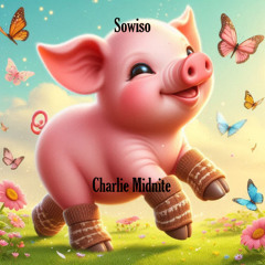Sowiso