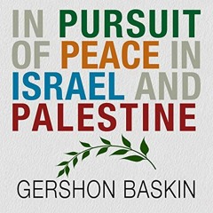 Read EBOOK ☑️ In Pursuit of Peace in Israel and Palestine by  Gershon Baskin,Eric Bur