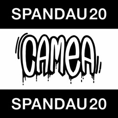 SPND20 Mixtape by Camea