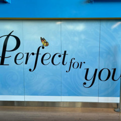 fall clips 2025 + sedaku ynxxet tgwog thj massi shohi shuvbunga mingus mobzero + more