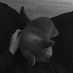 حطي راسك عالمخدة