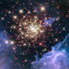 Homestead - Collapse Into Pink Stardust