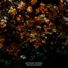 The Space Within (snippets)