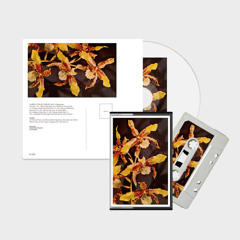 "Labellum Of Porcelain (Pavilion Mix by Glyn Maier)" - Chaperone