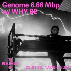 Genome 6.66 / BAIHUI mix