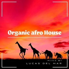 Organic Afro House Vol.01
