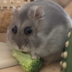 Frank Ocean's First Day At School Type Beat.