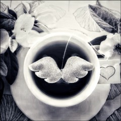 C I N E M A T I K A  /  FLYING TEA BAGS / MARC ERRANTE AND  AEON VON ZARK / LIVE EXPERIMENTAL .