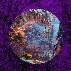 Alej - Torim