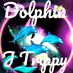 Dolphin- J Trippy