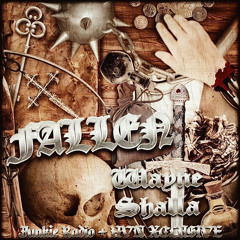 Wayne Shalla - Fallin (P. Slae) [dj ddope god] {JUNKIE RADIO + HVN XCLUSIVE}