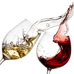 wine wednesday (maajins)