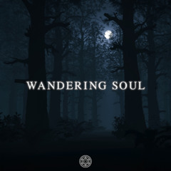 Sentinel Complex - Wandering Soul