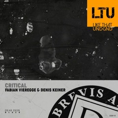 Premiere: Fabian Vieregge & Denis Keiner - Sketch (Original Mix) | Dear Deer Black