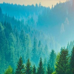 track no. 7 (version 2)