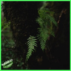 FRANK LEONE, Coco O. - MORNING DEW