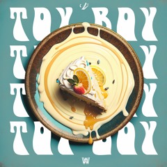 Willy Van Florence & 2Crimes- Toy Boy