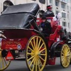 Central Park Carriages – The Perfect Way To Explore And Enjoy Central Park In NYC