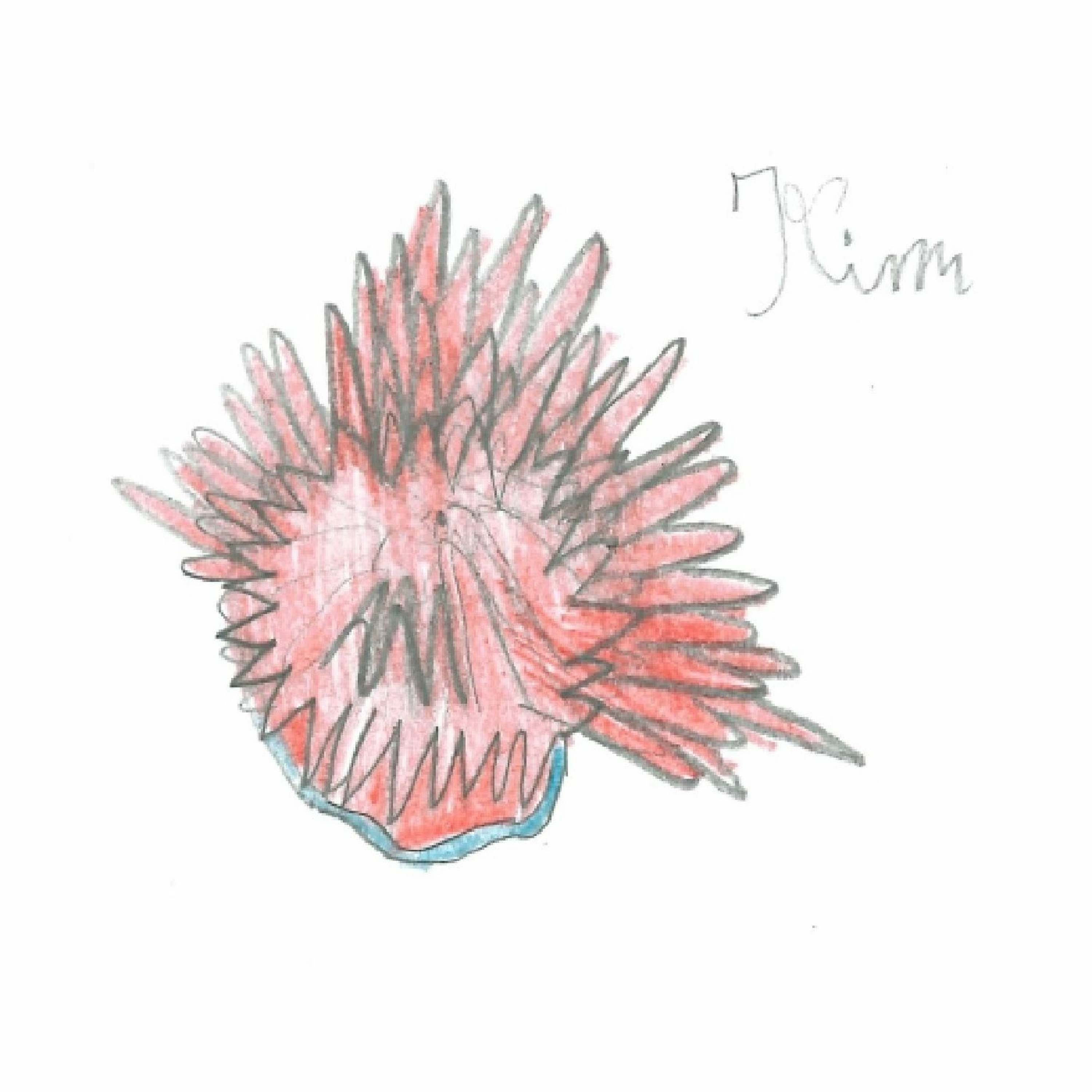 track-artwork